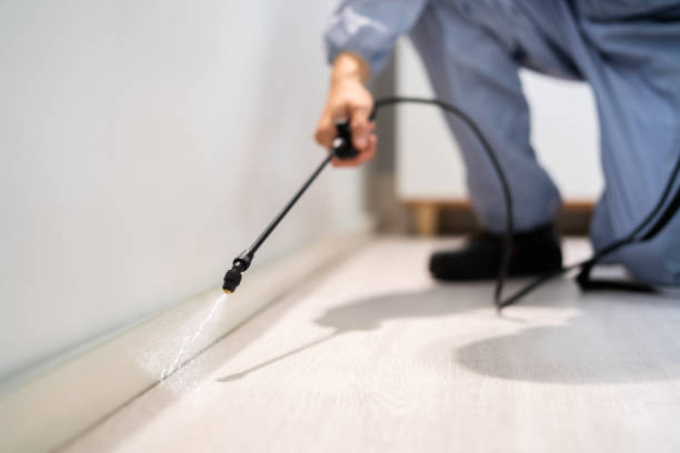 Bed Bug Pre-Treatment Preparation Assessment in Cohasset