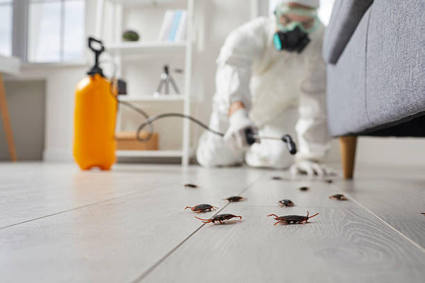 Post-Treatment Bed Bug Interceptor Monitoring in Cohasset