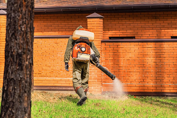 Bed Bug Clearance Verification and Documentation in Cohasset